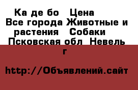 Ка де бо › Цена ­ 25 - Все города Животные и растения » Собаки   . Псковская обл.,Невель г.